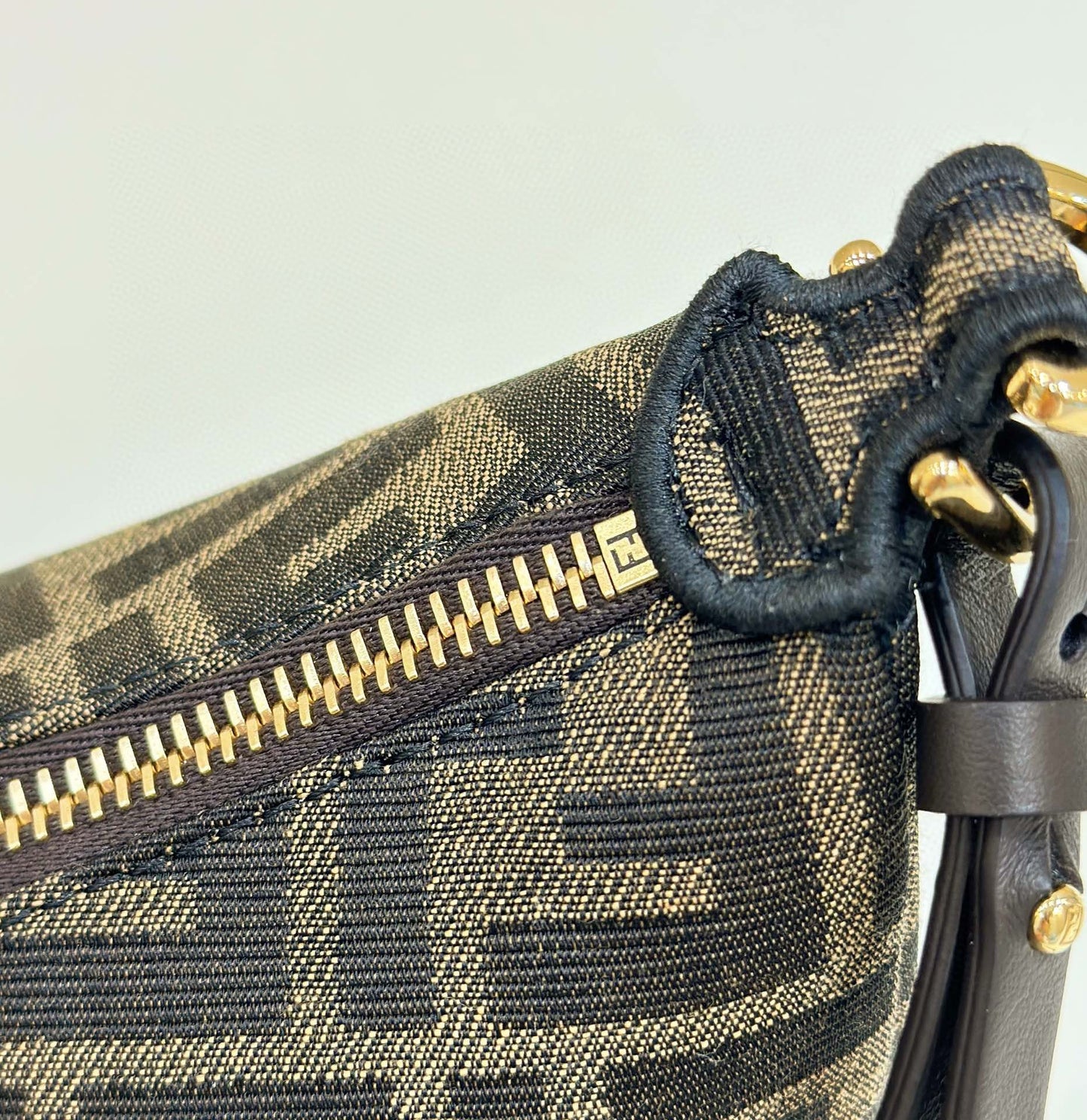 Fendi Fendigraphy Mini