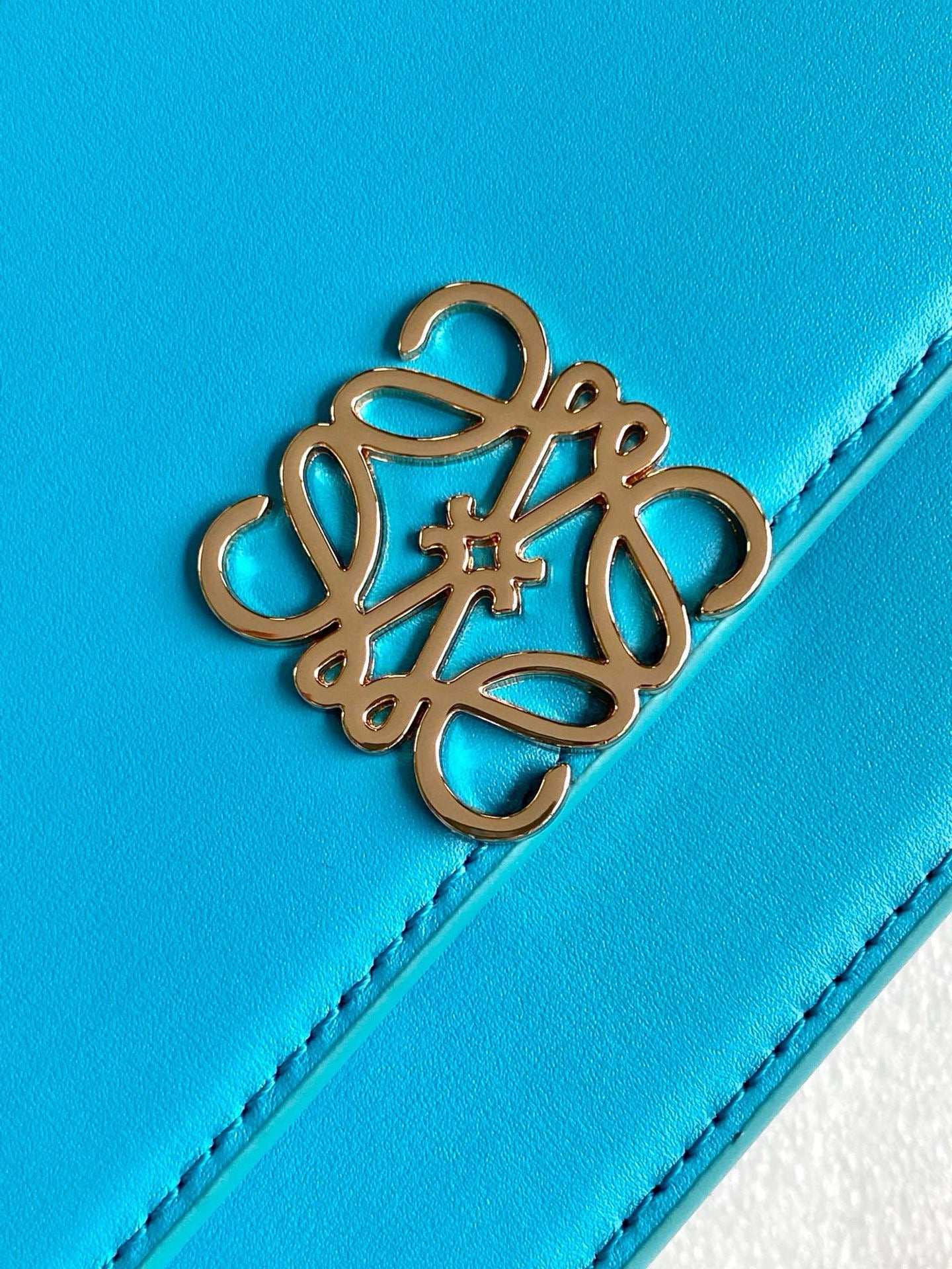 Loewe Goya Leather