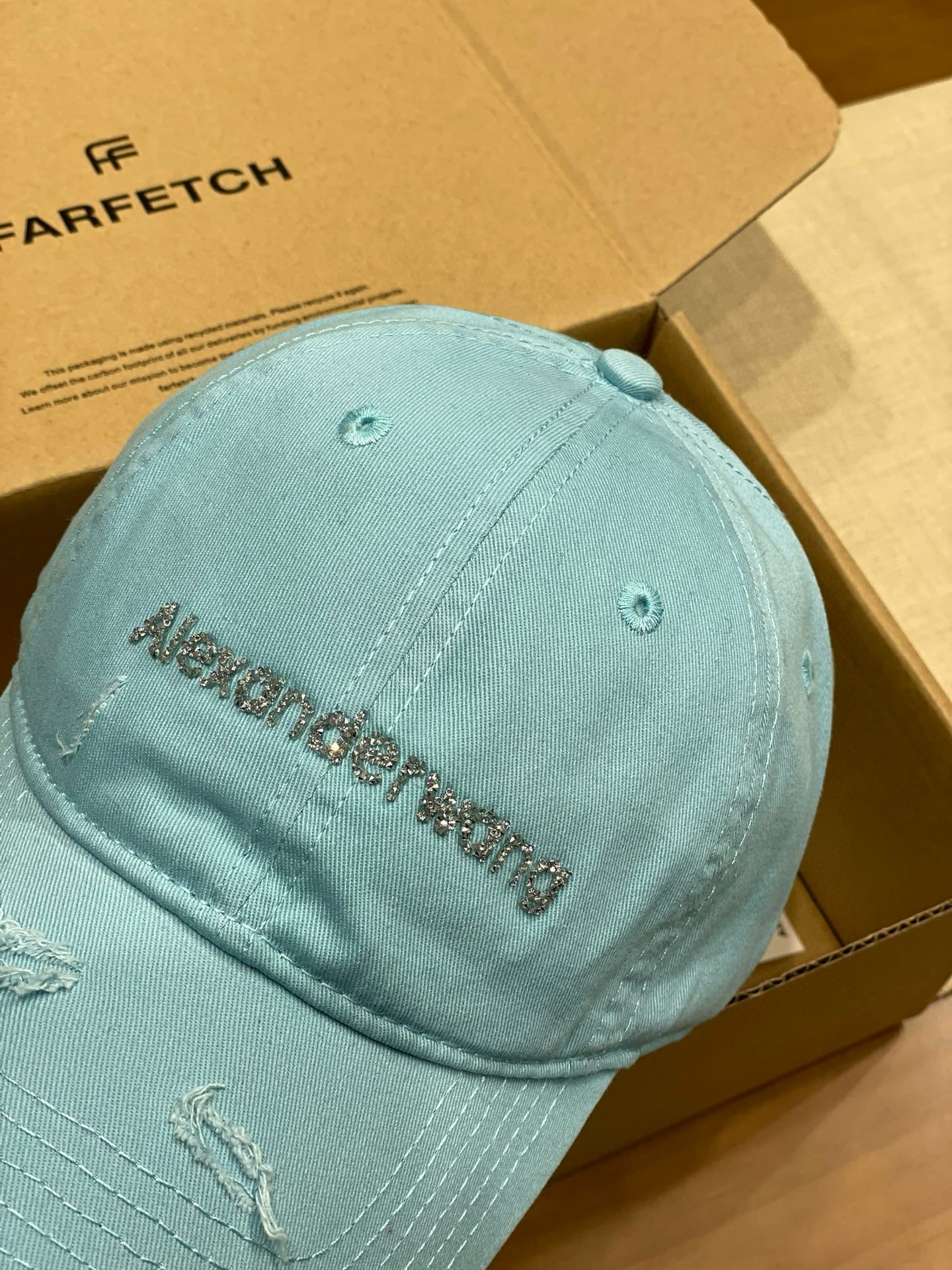 Alexander Wang Cap