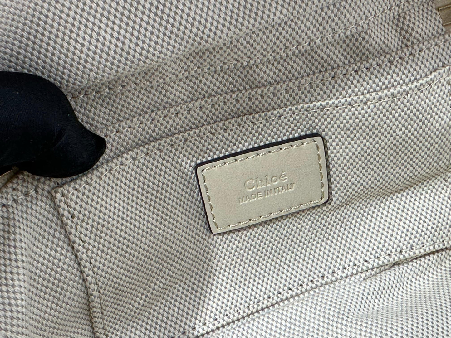 Chloe Camera Bag
