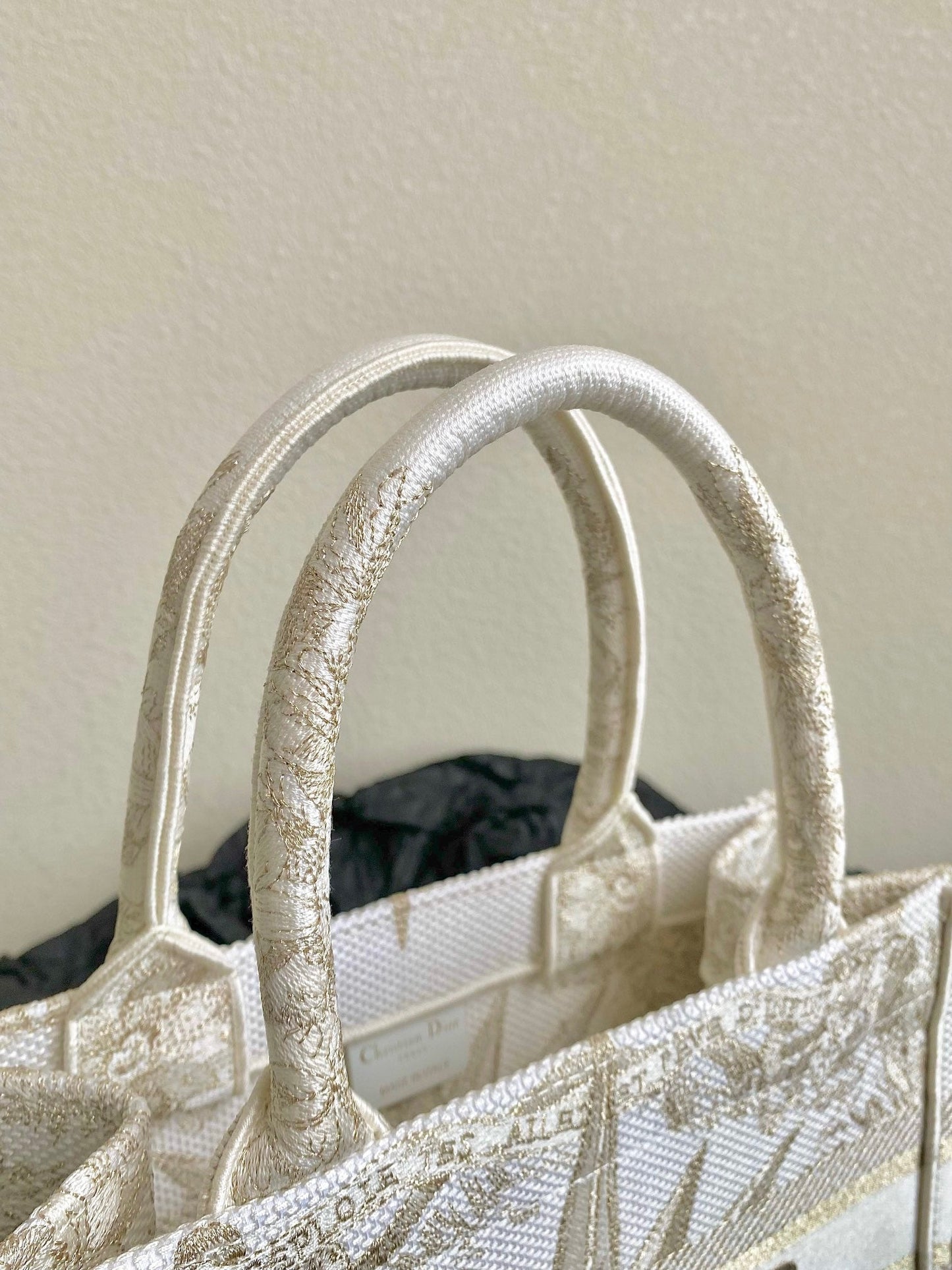 Dior BookTote (small)