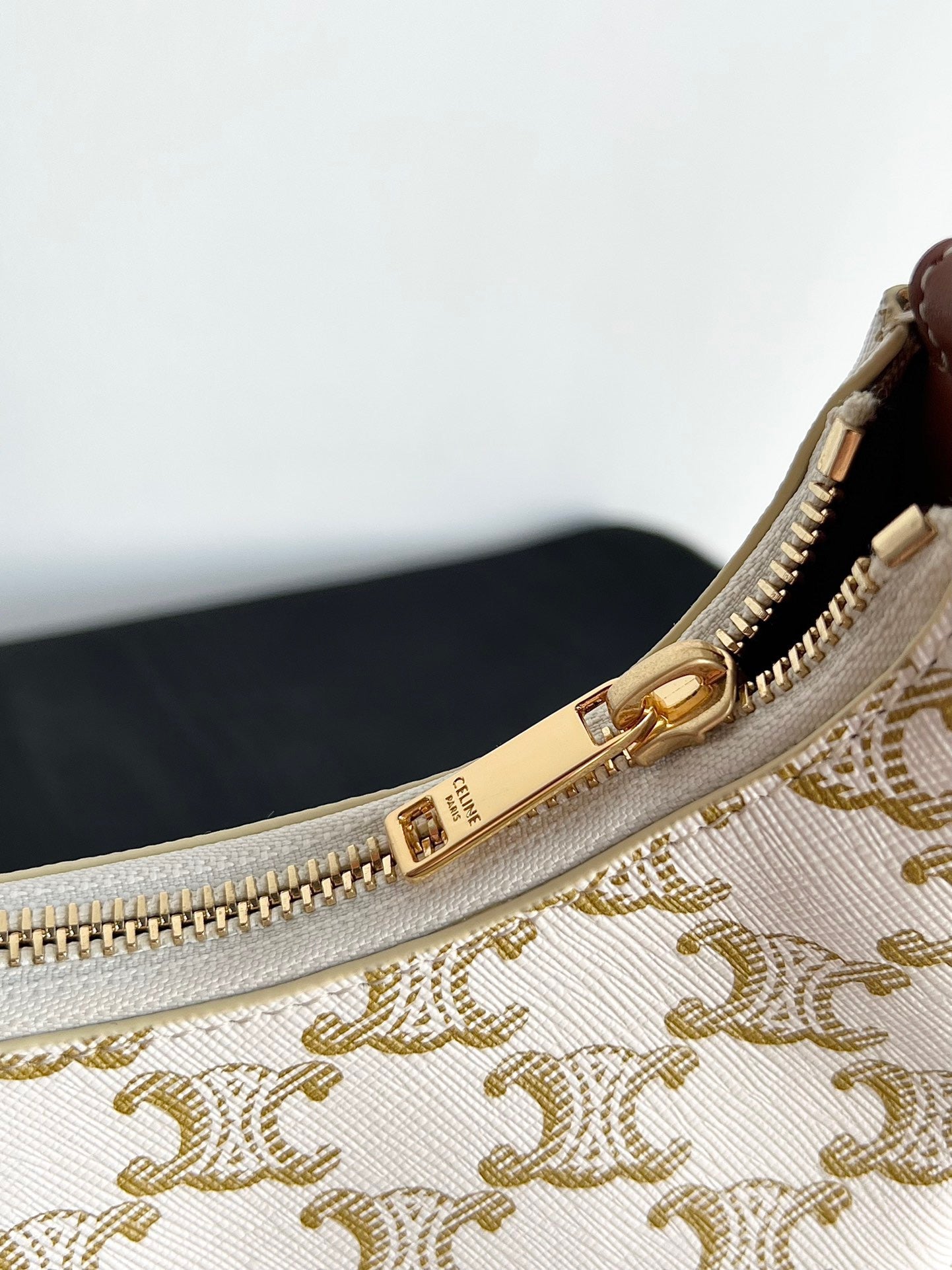 Celine Triomphe Hobo