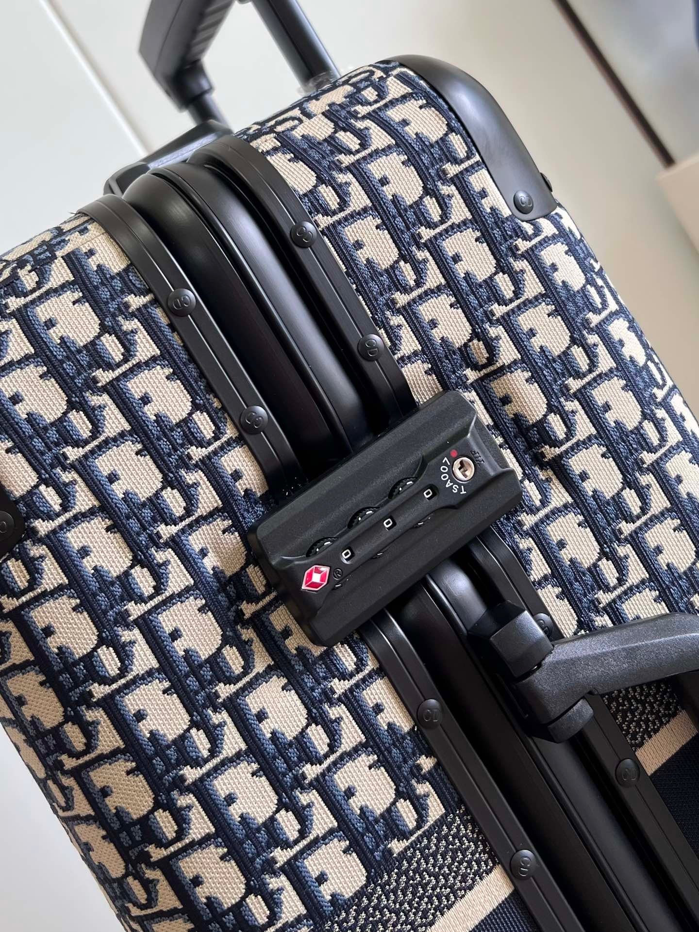 Christian Dior Luggage