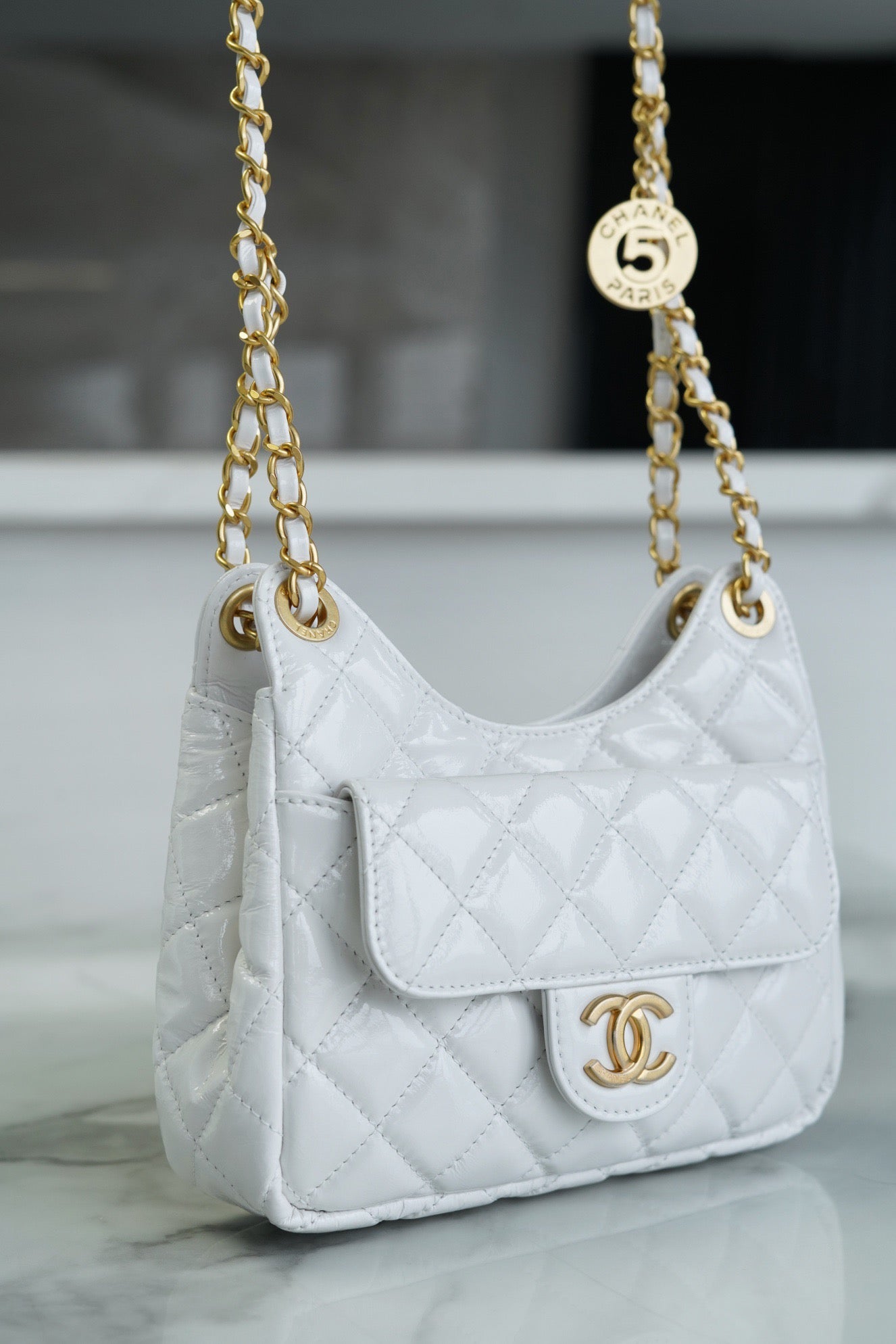 Chanel 23C Hobo Bag (small)