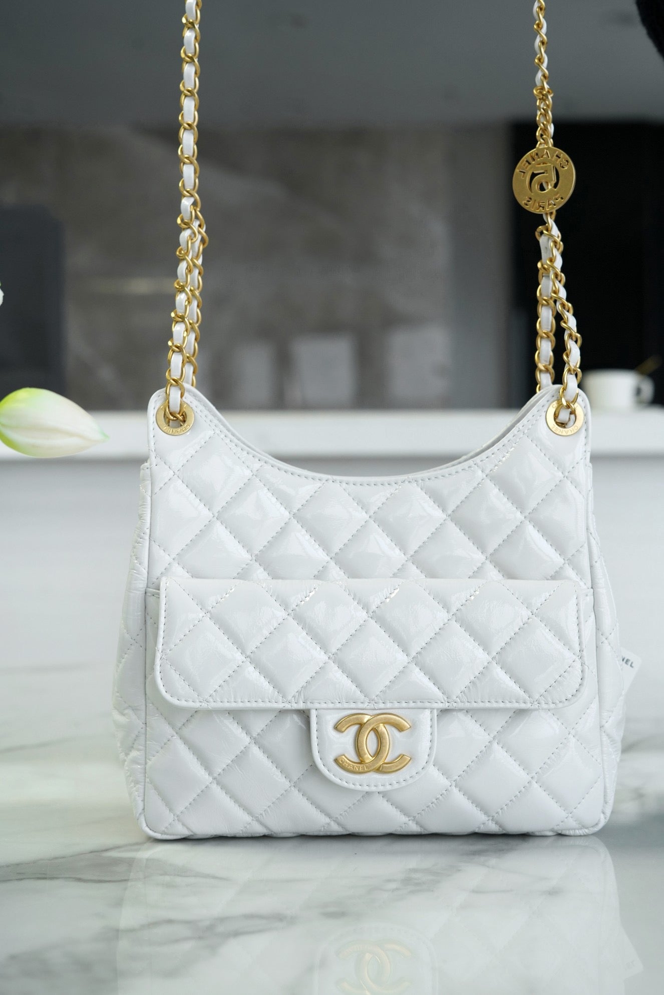 Chanel 23C Hobo Bag