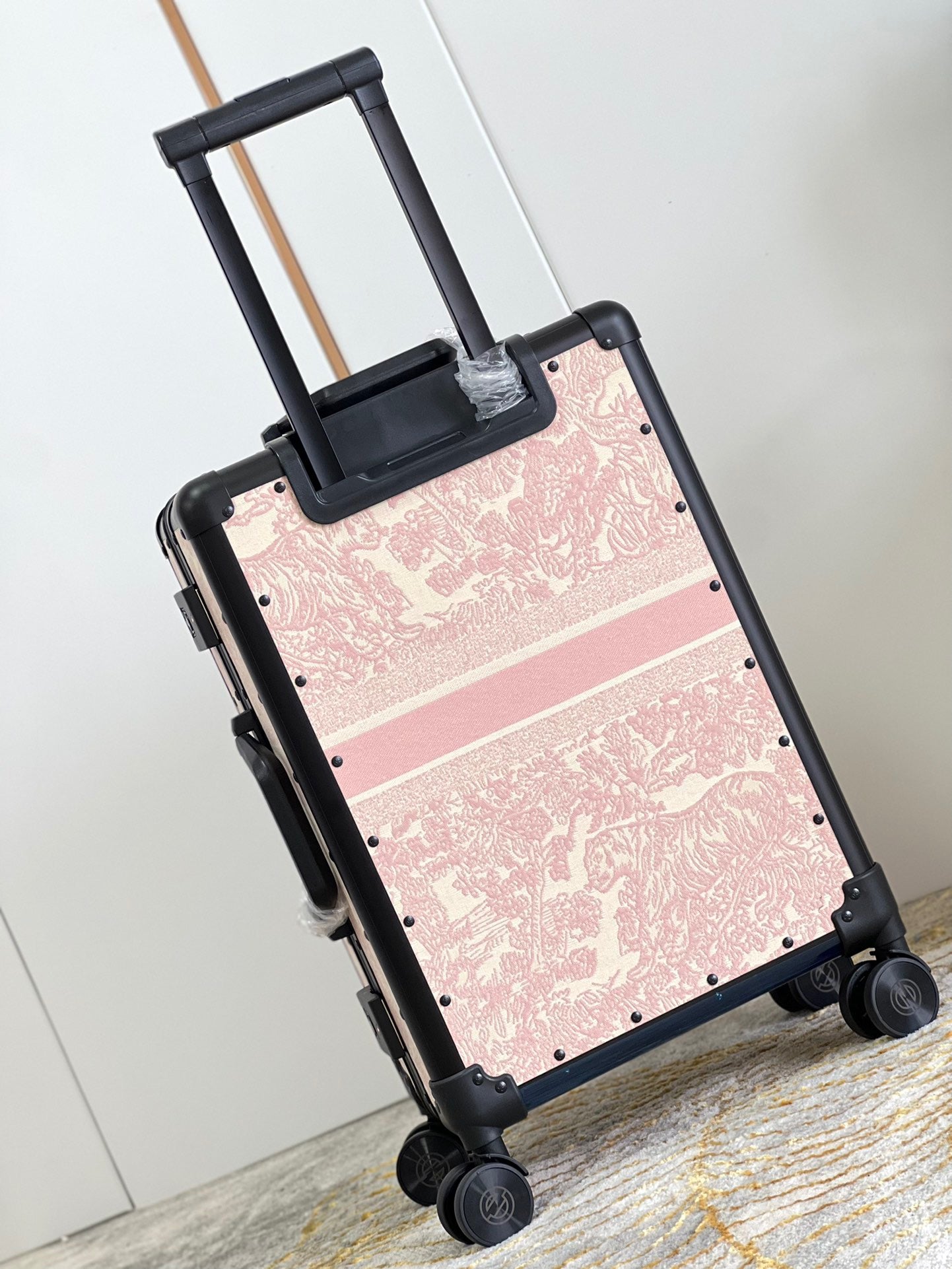 Dior Luggage