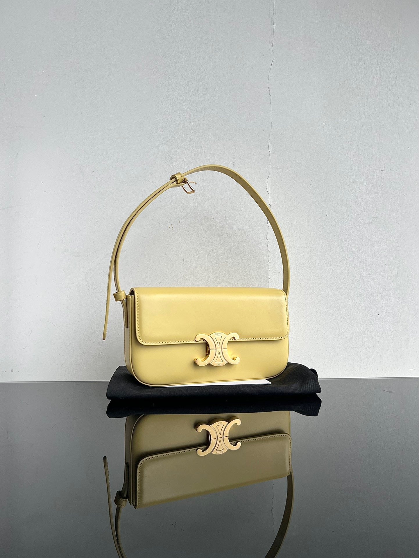 Celine Triomphe Hobo