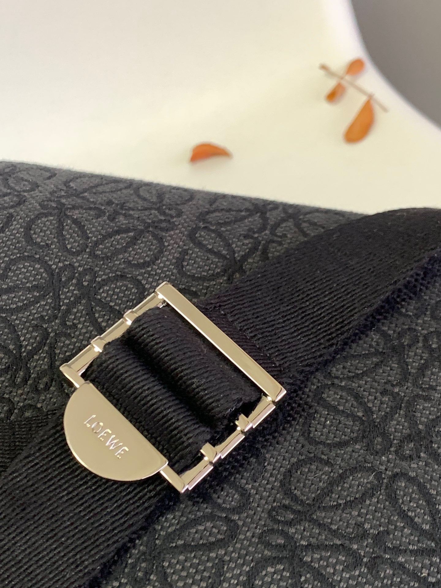 Loewe Messenger Bag