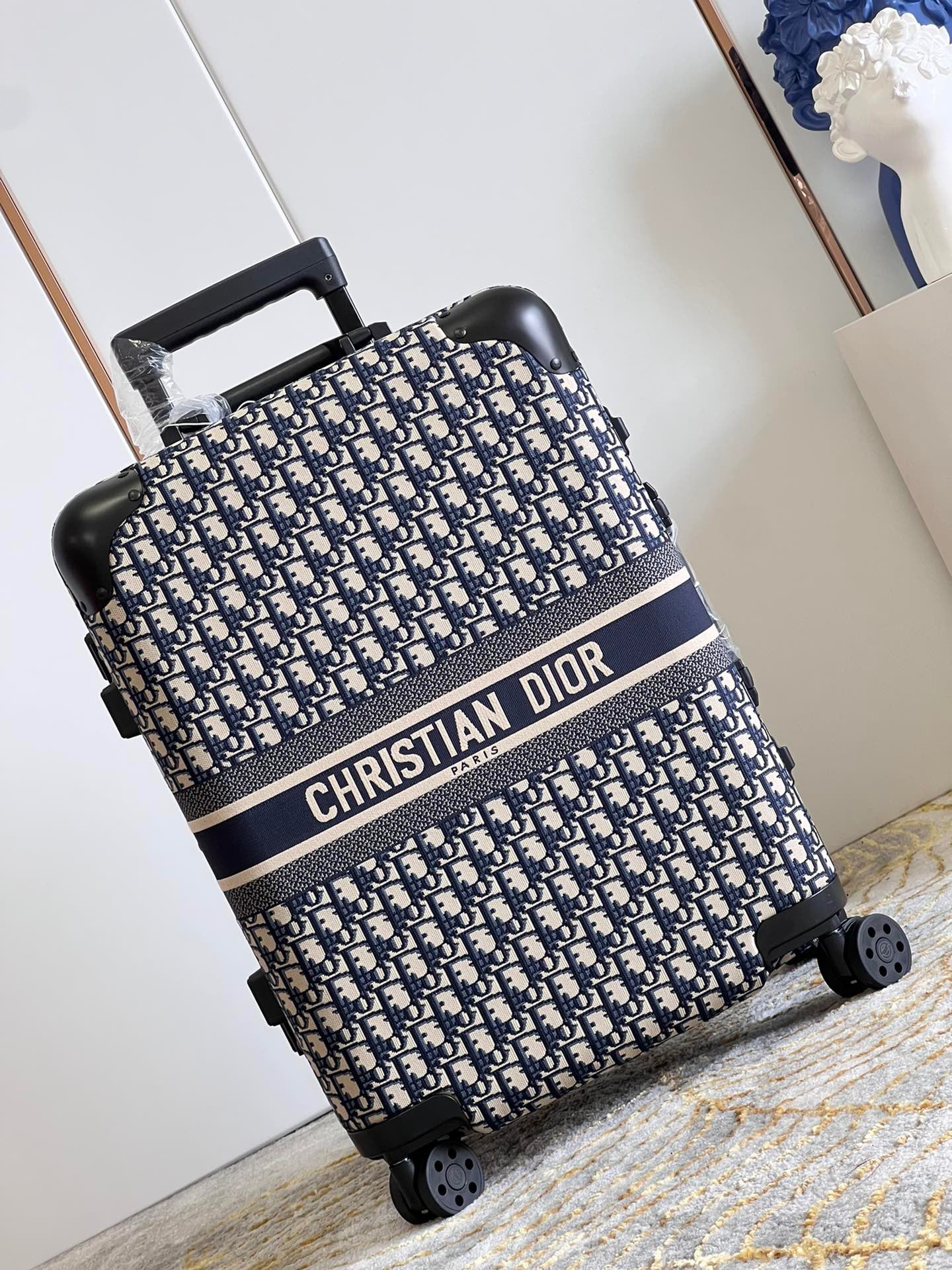 Christian Dior Luggage
