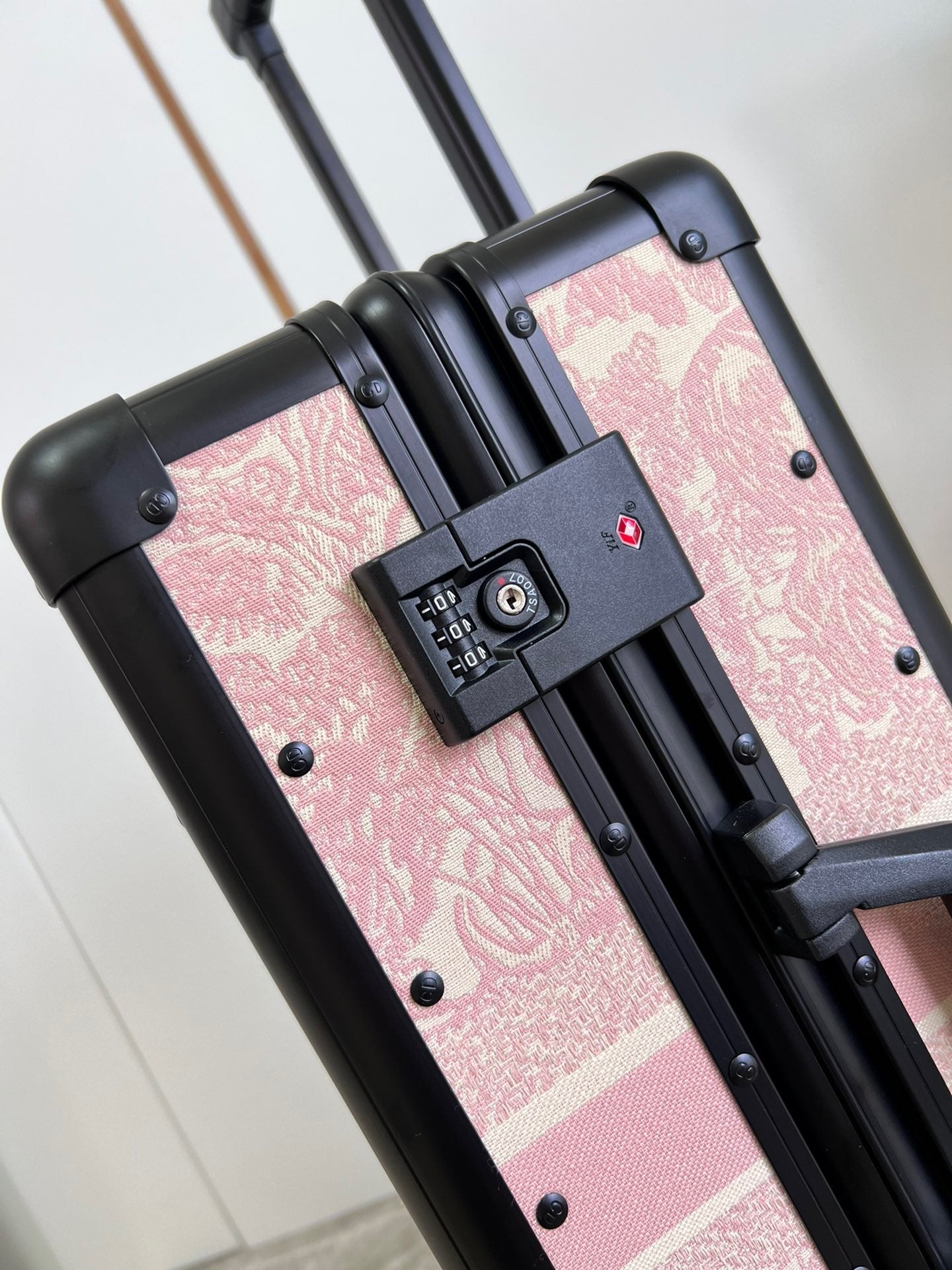Dior Luggage