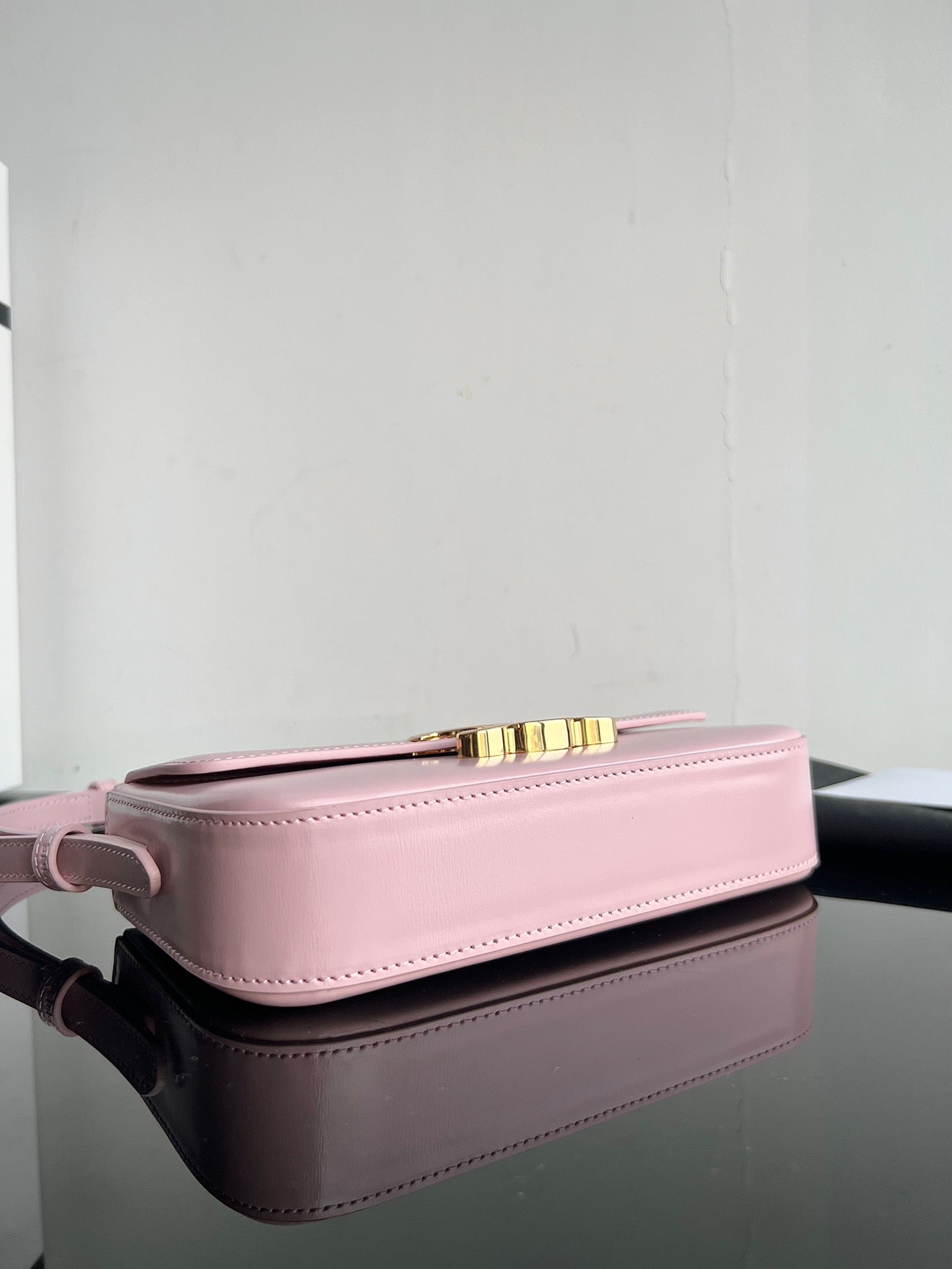 Celine Triomphe Hobo