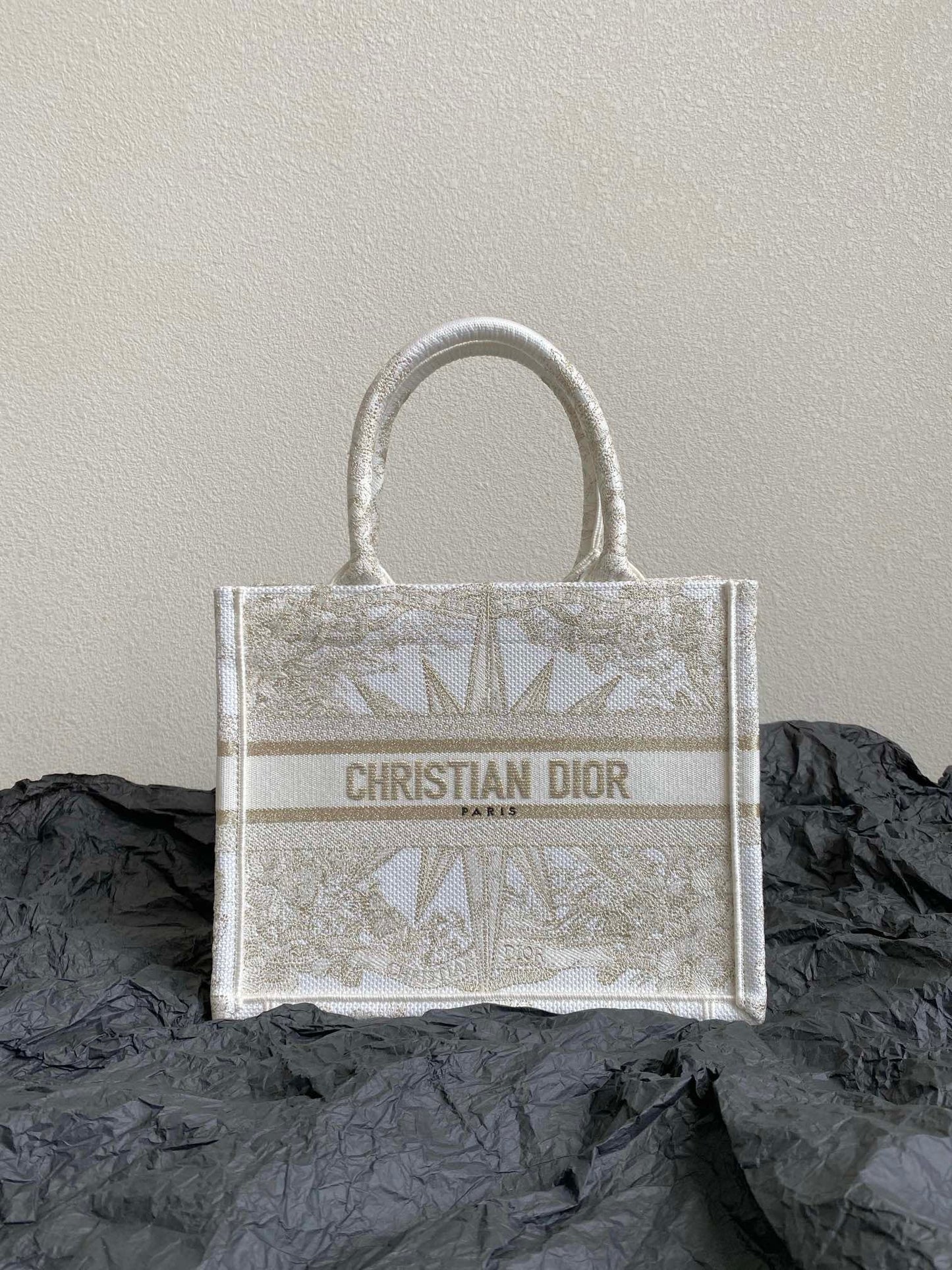 Dior BookTote (small)