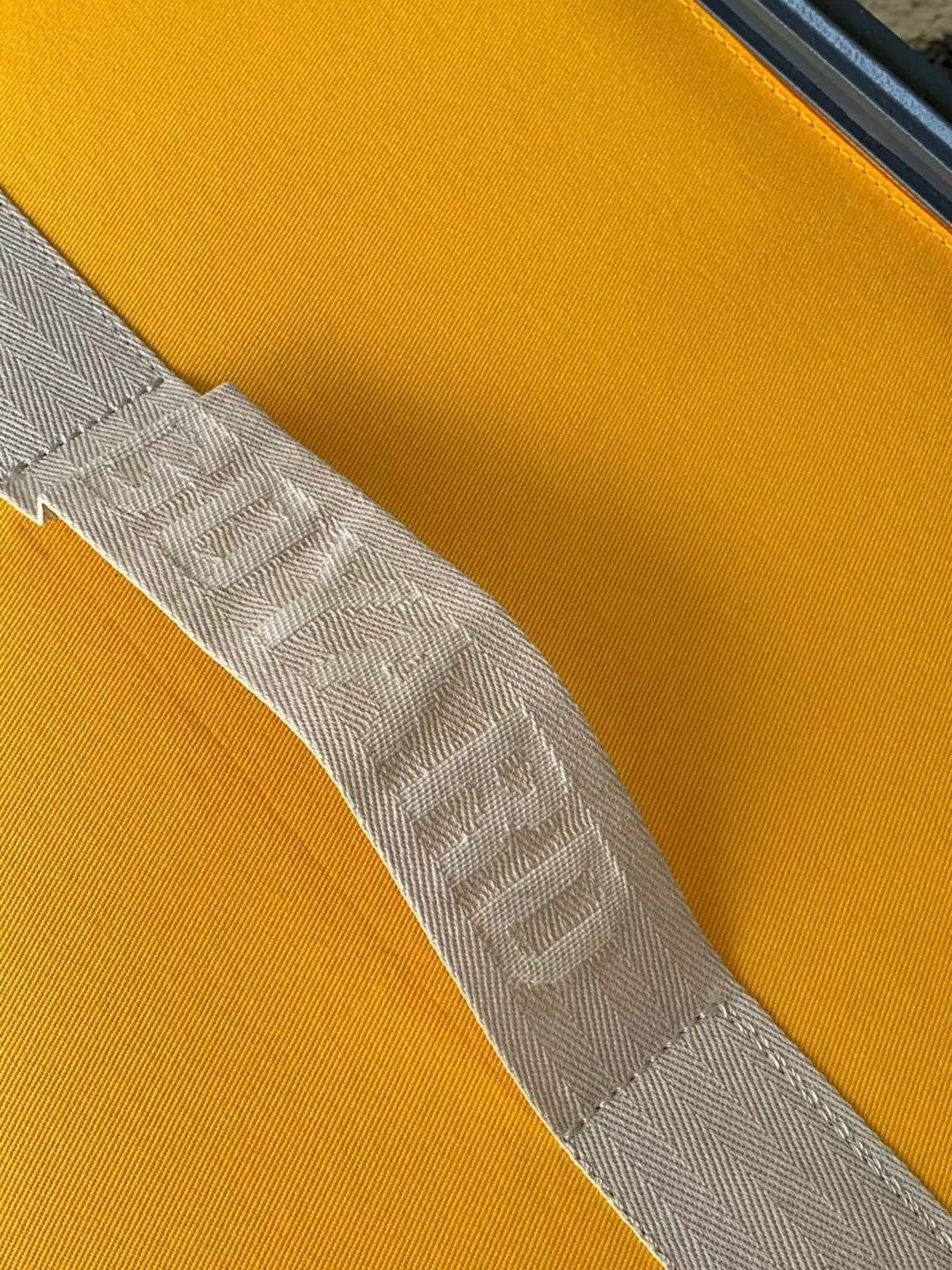 Goyard Luggage