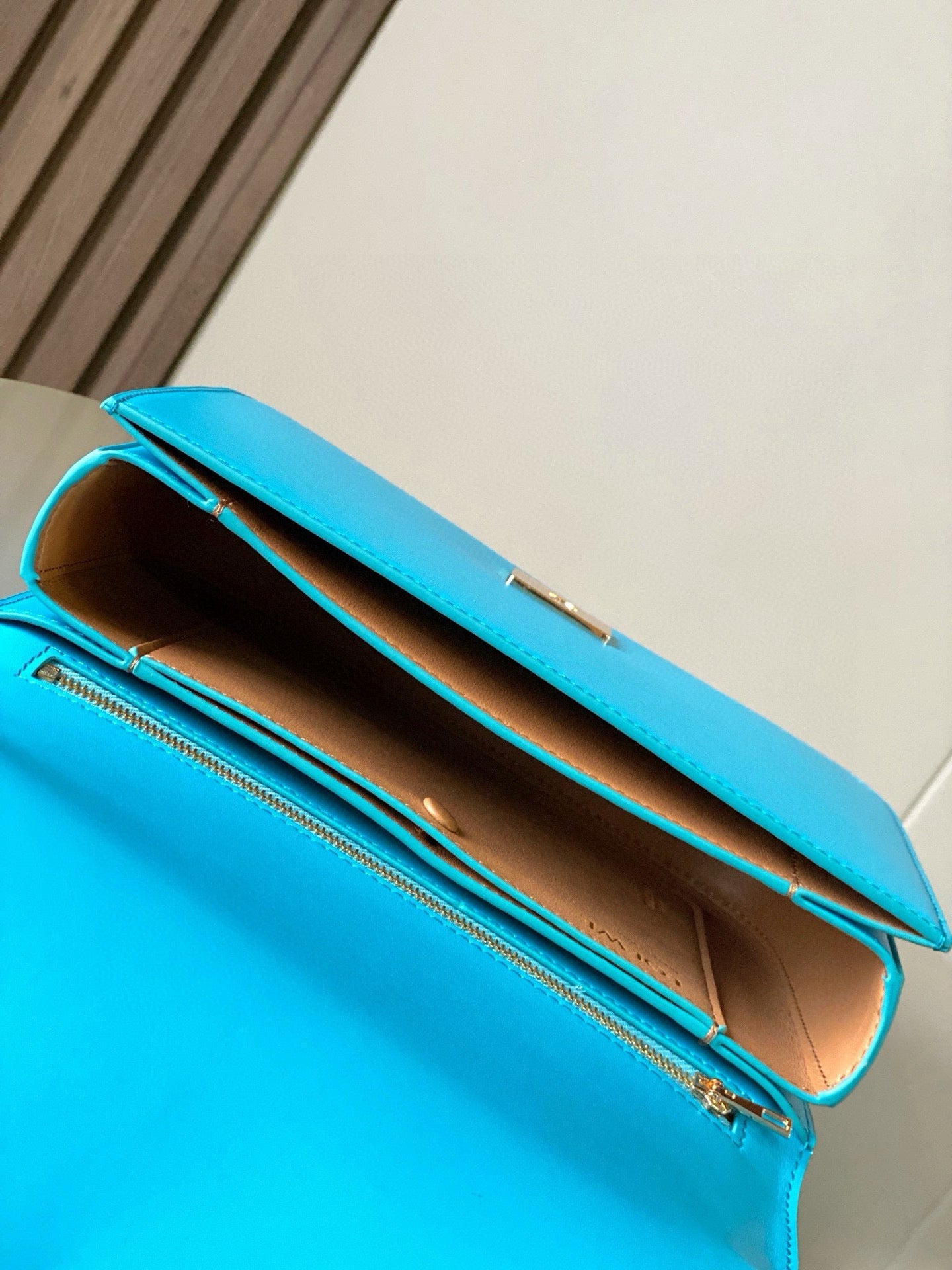 Loewe Goya Leather