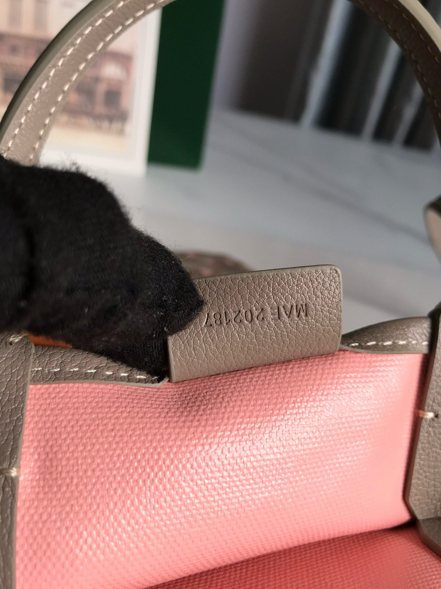 Goyard Poitiers Bag