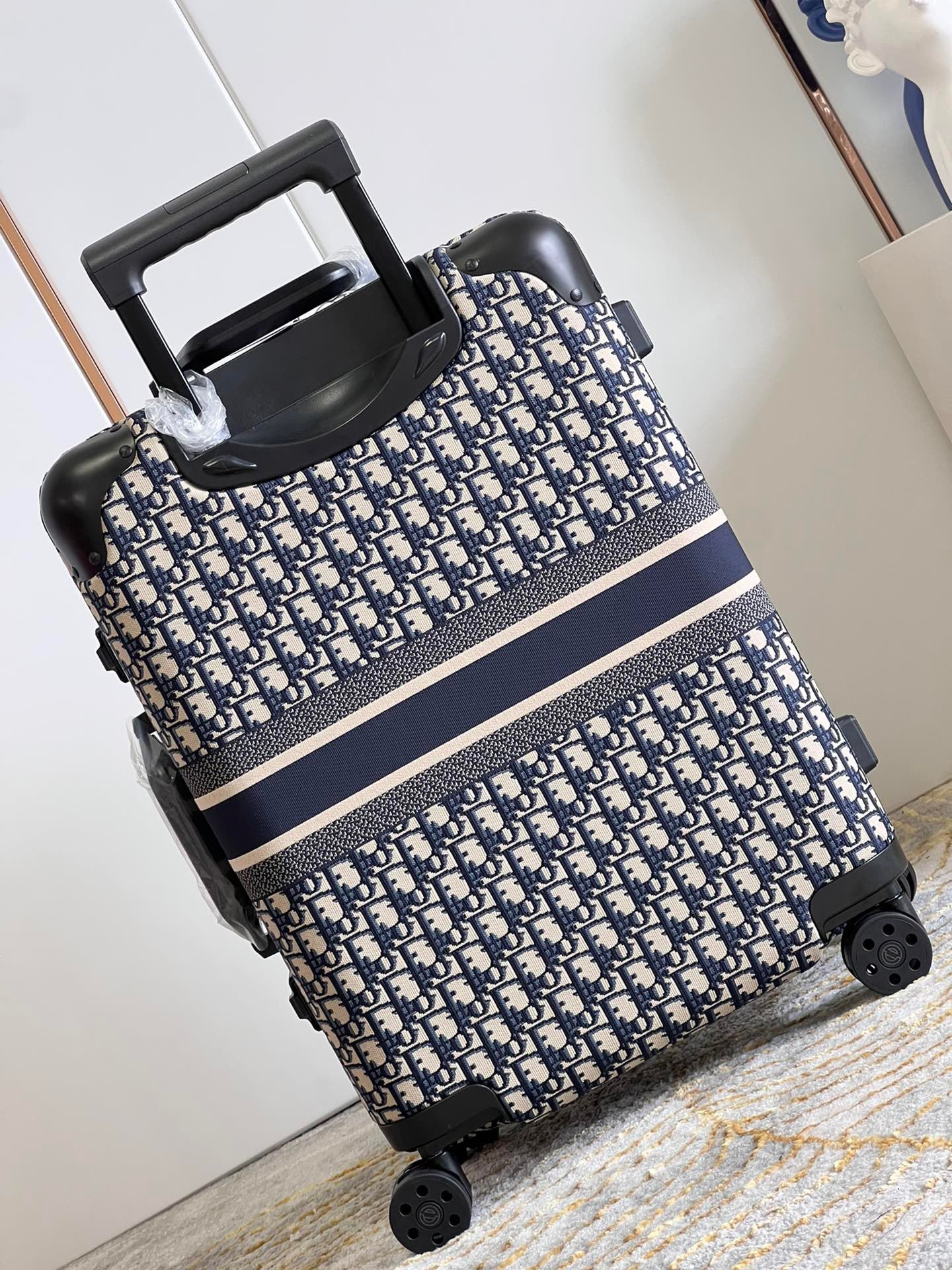 Christian Dior Luggage