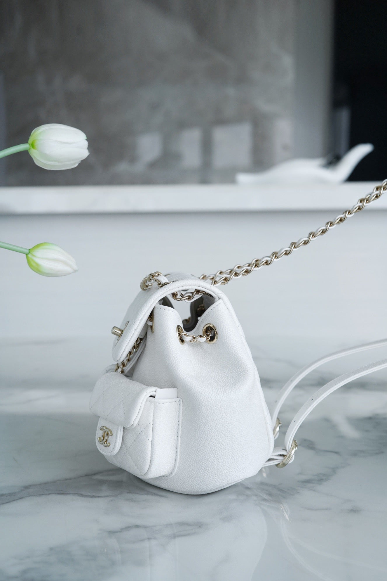 Chanel Duma Backpack