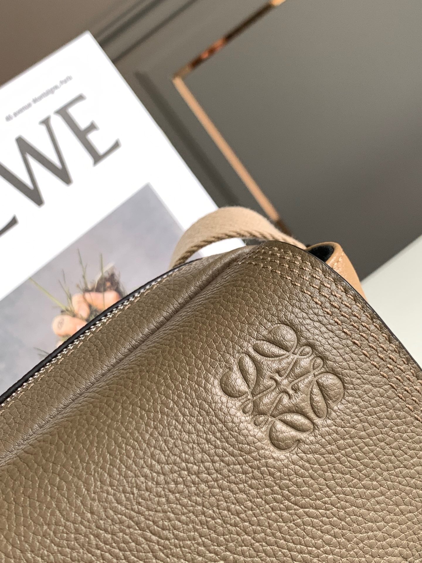 Loewe Messenger Bag