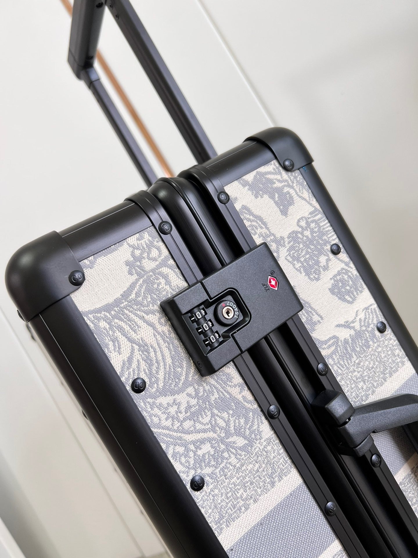 Dior Luggage