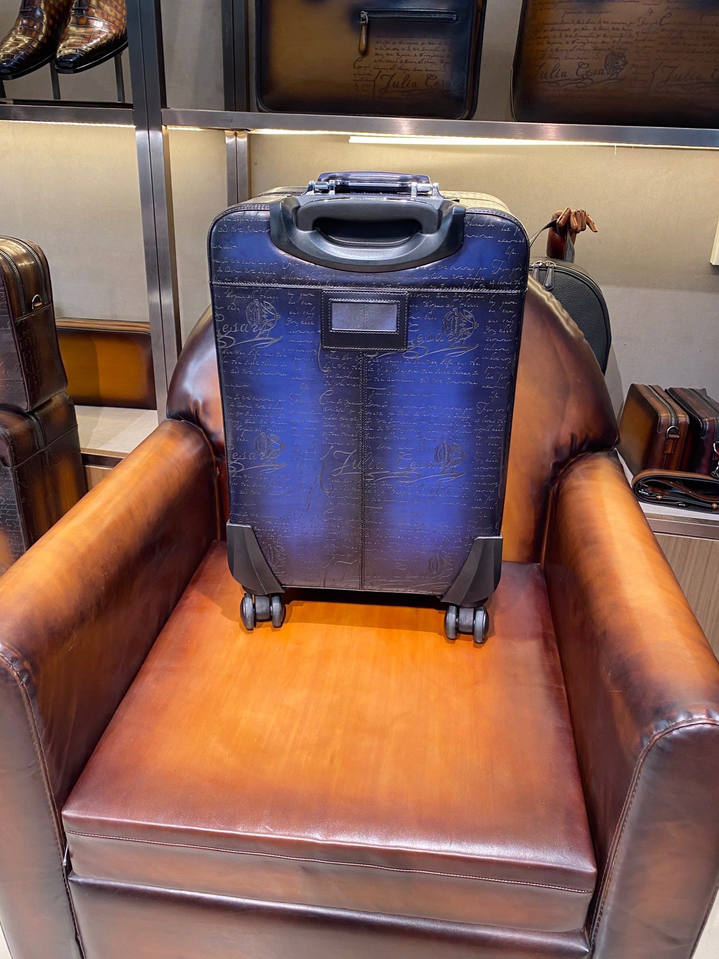 Berluti Luggage