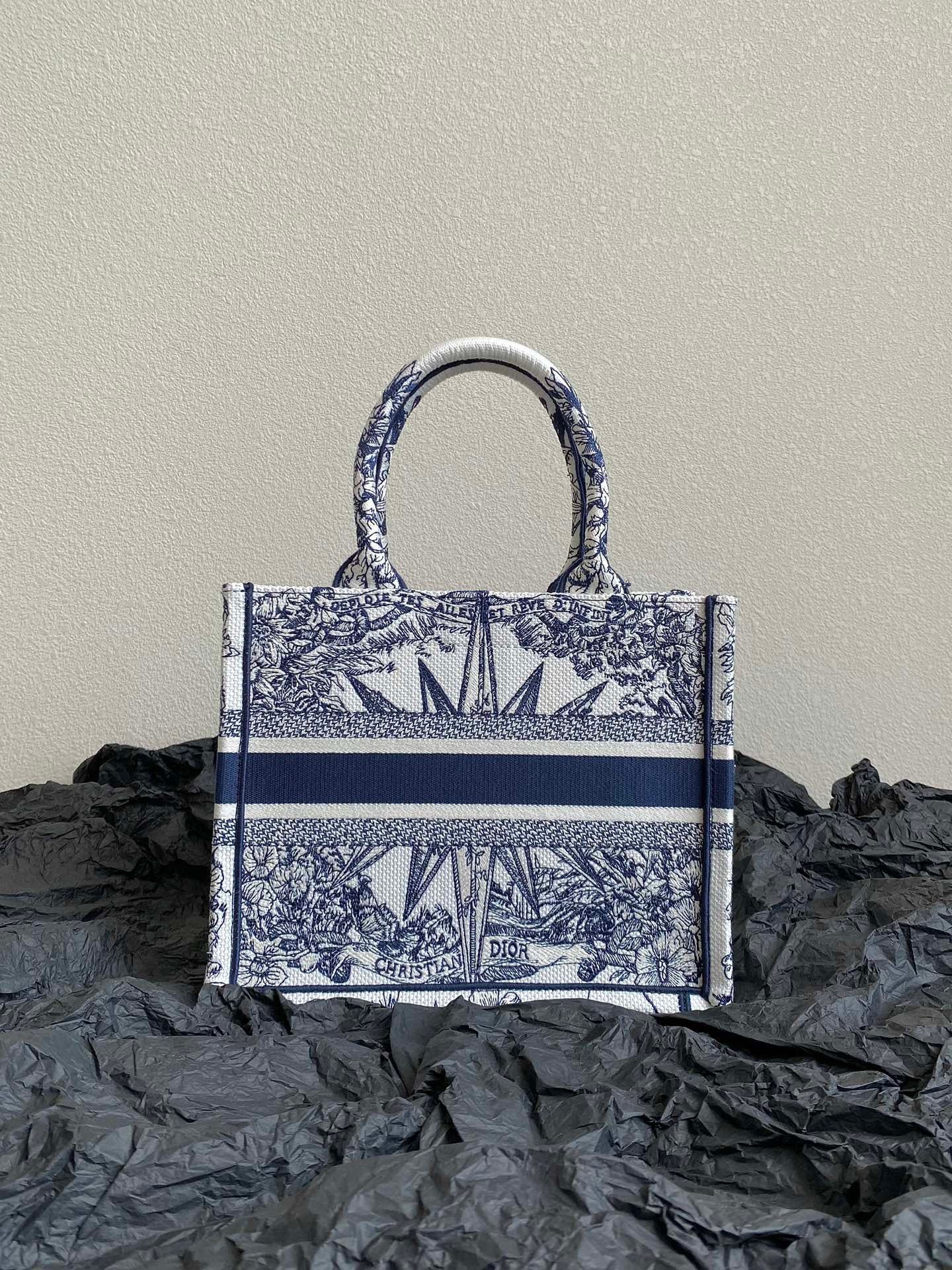 Dior BookTote (Small)